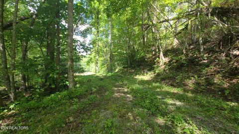 Tiny photo for 33 South Highway 32, Cosby, TN 37722 (MLS # 1315009)
