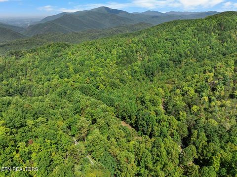 Tiny photo for 33 South Highway 32, Cosby, TN 37722 (MLS # 1315009)
