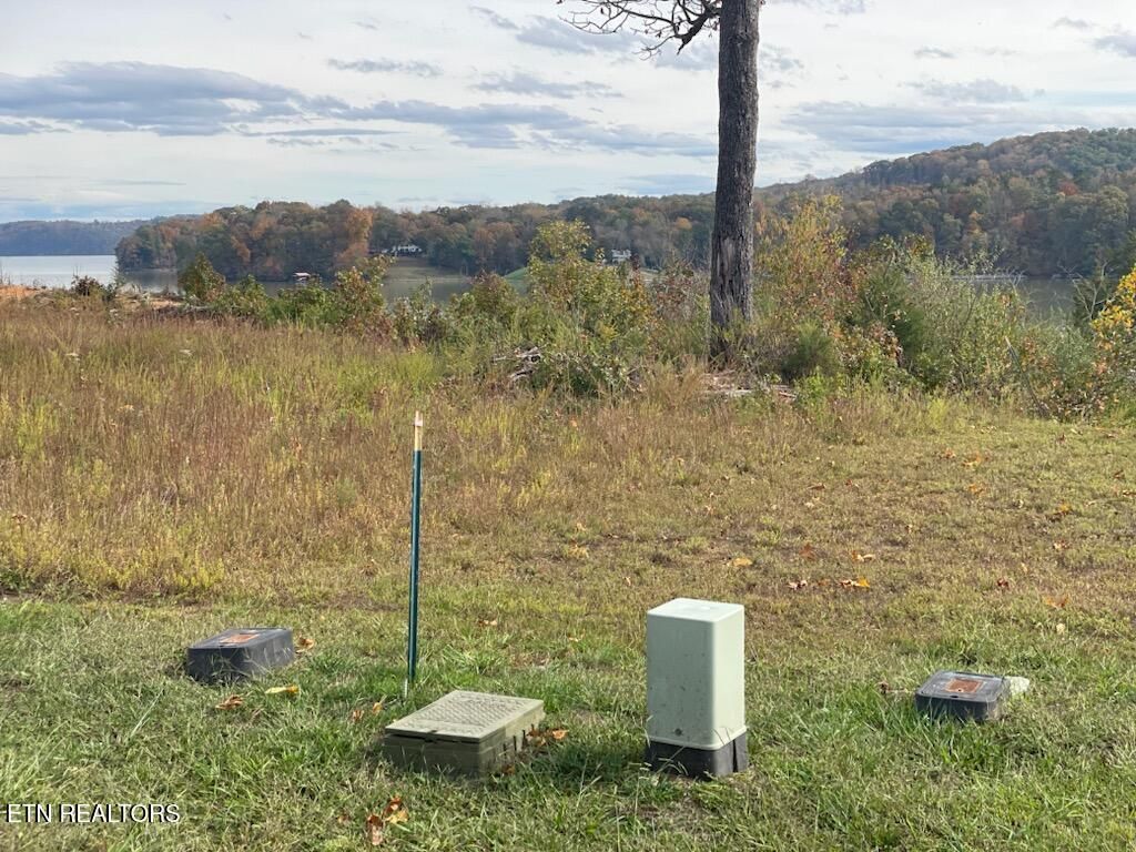 Photo of 147 Docks Of The Bay Drive, Harriman, TN 37748 (MLS # 1282125)