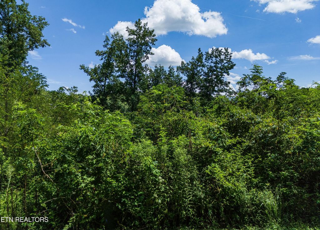 Photo of 11 Sanctuary Shores Way, Sevierville, TN 37876 (MLS # 1309463)