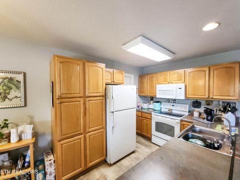 Tiny photo for 319 Tater Valley Rd, Luttrell, TN 37779 (MLS # 1316502)