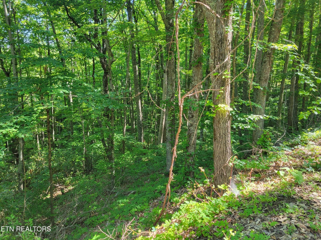 Photo of 20 Sunset Drive, Sevierville, TN 37876 (MLS # 1343743)