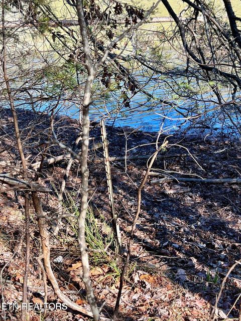 Tiny photo for Laurel Lake Circle Lot 43, Madisonville, TN 37354 (MLS # 1338586)