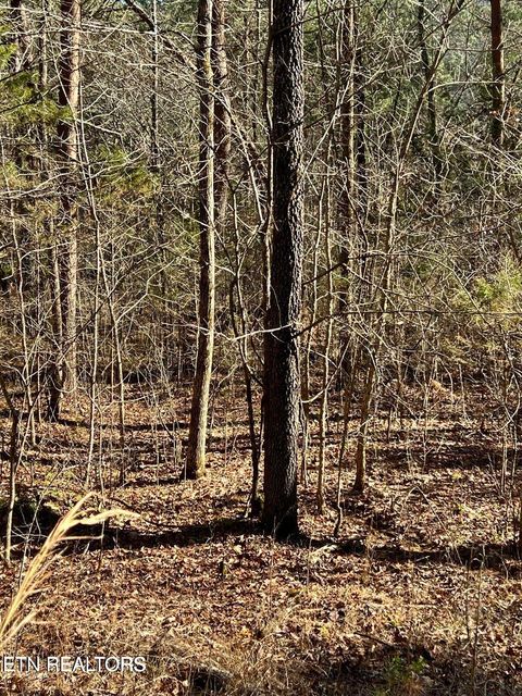 Tiny photo for Laurel Lake Circle Lot 43, Madisonville, TN 37354 (MLS # 1338586)