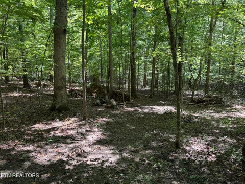 Tiny photo for 765 Poston Drive, Monterey, TN 38574 (MLS # 1355589)