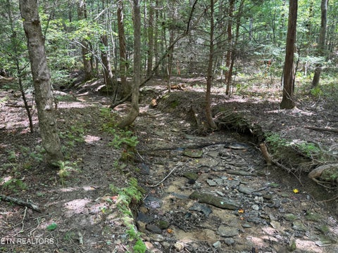 Tiny photo for 765 Poston Drive, Monterey, TN 38574 (MLS # 1355589)