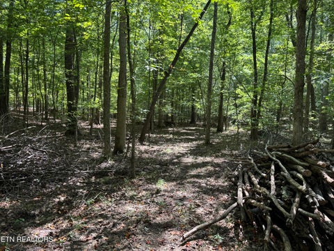 Tiny photo for 765 Poston Drive, Monterey, TN 38574 (MLS # 1355589)