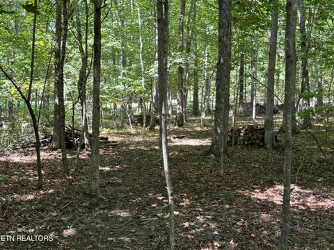 Tiny photo for 765 Poston Drive, Monterey, TN 38574 (MLS # 1355589)