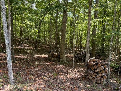 Tiny photo for 765 Poston Drive, Monterey, TN 38574 (MLS # 1355589)