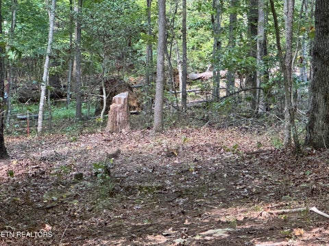 Tiny photo for 765 Poston Drive, Monterey, TN 38574 (MLS # 1355589)