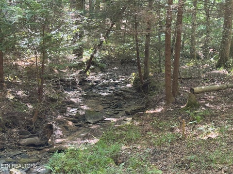 Tiny photo for 765 Poston Drive, Monterey, TN 38574 (MLS # 1355589)