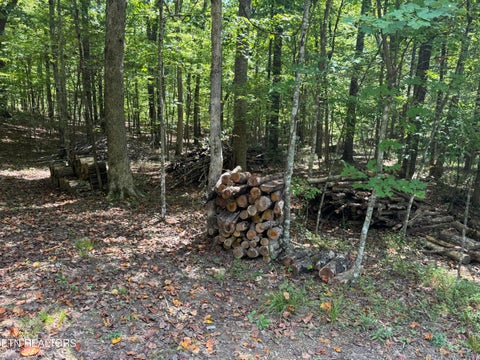 Tiny photo for 765 Poston Drive, Monterey, TN 38574 (MLS # 1355589)