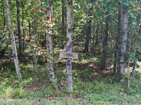 Tiny photo for 765 Poston Drive, Monterey, TN 38574 (MLS # 1355589)