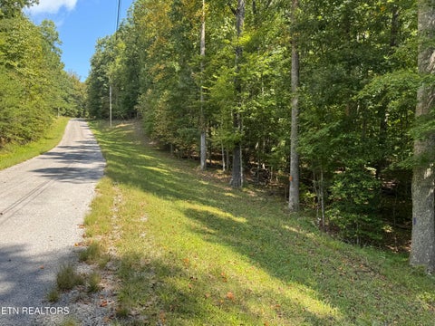 Tiny photo for 765 Poston Drive, Monterey, TN 38574 (MLS # 1355589)