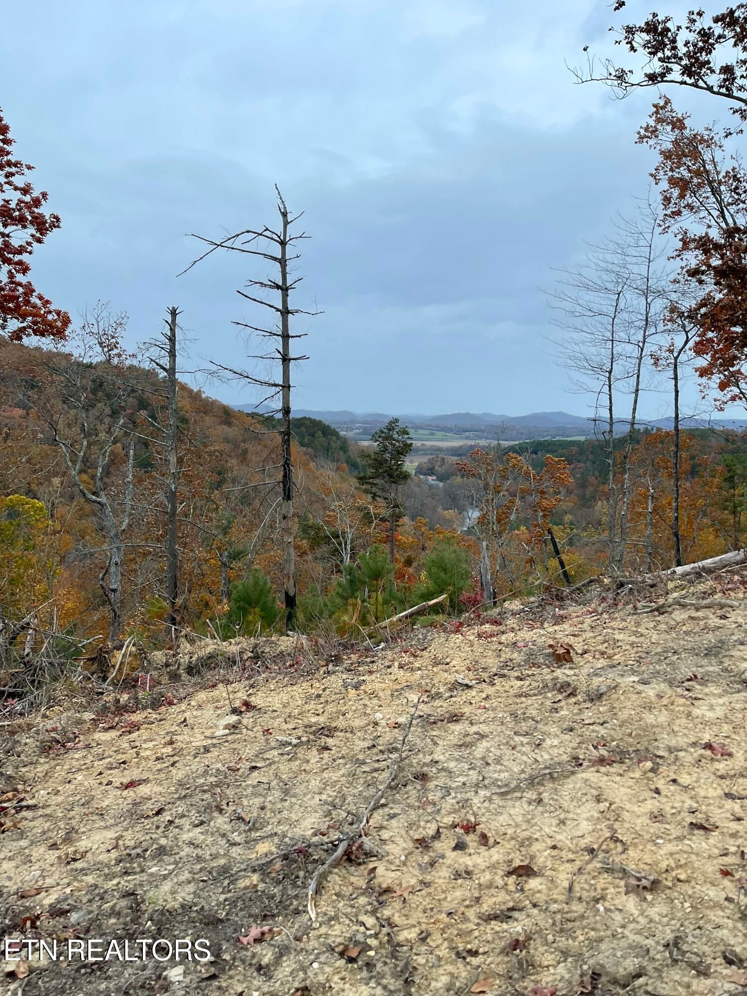 157 Quarry Creek Rd Lot 4