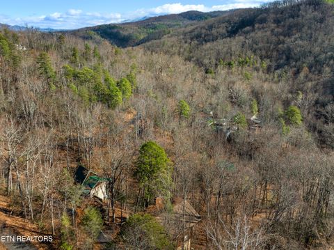 Tiny photo for 514 Laural Mountain Rd, Gatlinburg, TN 37738 (MLS # 1324430)