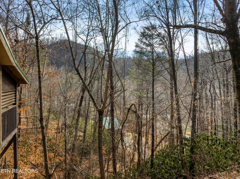 Tiny photo for 514 Laural Mountain Rd, Gatlinburg, TN 37738 (MLS # 1324430)