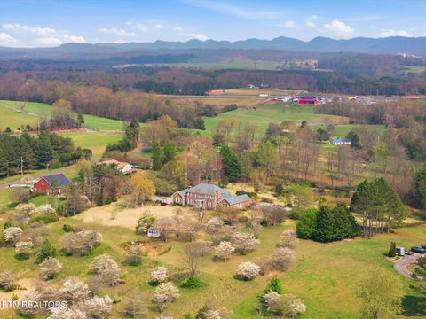 Tiny photo for 458 County Road 603, Athens, TN 37303 (MLS # 1334504)