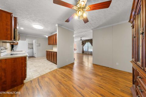 Tiny photo for 2496 W Old A J Hwy, Strawberry Plains, TN 37871 (MLS # 1336165)