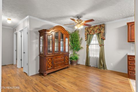 Tiny photo for 2496 W Old A J Hwy, Strawberry Plains, TN 37871 (MLS # 1336165)