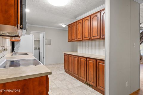 Tiny photo for 2496 W Old A J Hwy, Strawberry Plains, TN 37871 (MLS # 1336165)