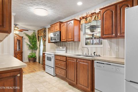 Tiny photo for 2496 W Old A J Hwy, Strawberry Plains, TN 37871 (MLS # 1336165)