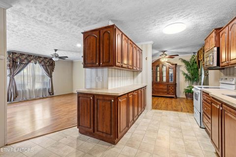 Tiny photo for 2496 W Old A J Hwy, Strawberry Plains, TN 37871 (MLS # 1336165)