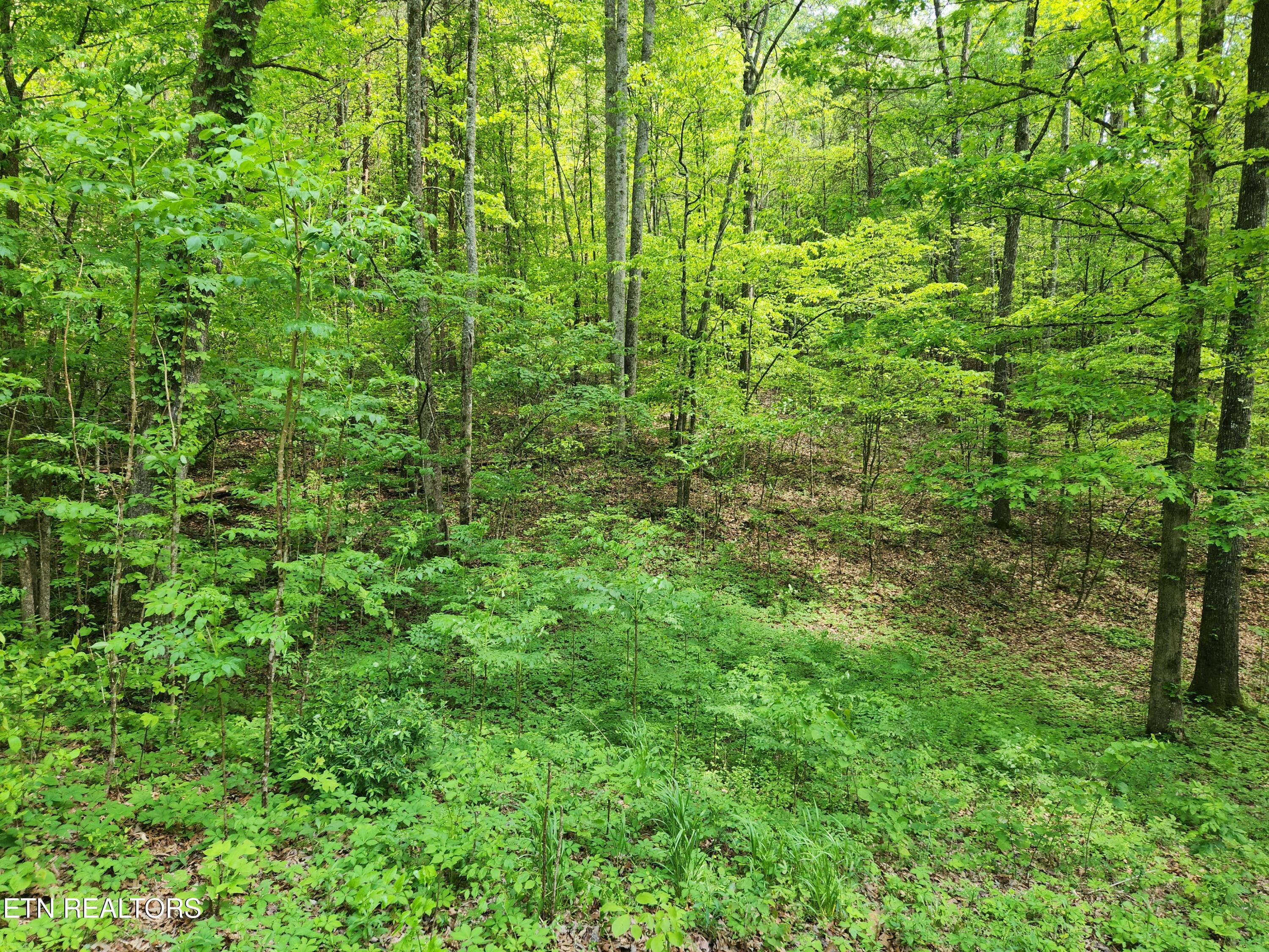 36 Myers Rd