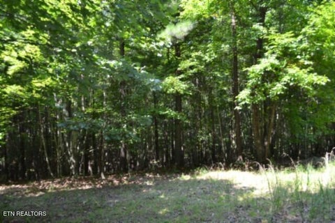 Tiny photo for 50 Topside Drive, Spencer, TN 38585 (MLS # 1350086)