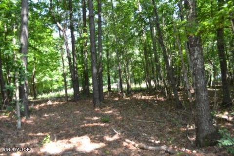 Tiny photo for 50 Topside Drive, Spencer, TN 38585 (MLS # 1350086)