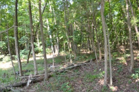 Tiny photo for 50 Topside Drive, Spencer, TN 38585 (MLS # 1350086)