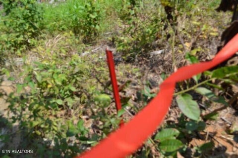 Tiny photo for 50 Topside Drive, Spencer, TN 38585 (MLS # 1350086)