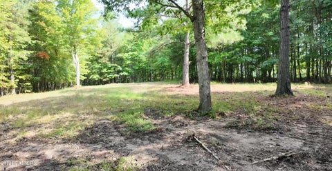 Photo of 50 Topside Drive, Spencer, TN 38585 (MLS # 1350086)