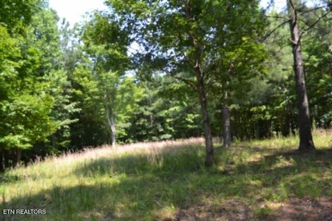 Tiny photo for 50 Topside Drive, Spencer, TN 38585 (MLS # 1350086)