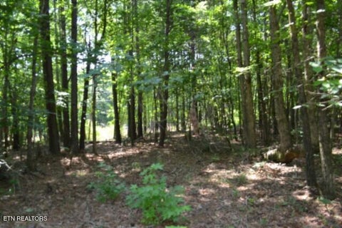 Tiny photo for 50 Topside Drive, Spencer, TN 38585 (MLS # 1350086)