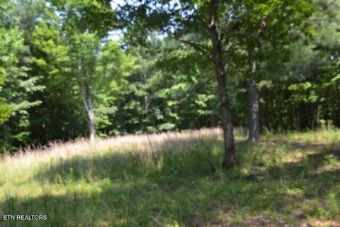 Tiny photo for 50 Topside Drive, Spencer, TN 38585 (MLS # 1350086)