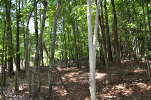 Tiny photo for 50 Topside Drive, Spencer, TN 38585 (MLS # 1350086)