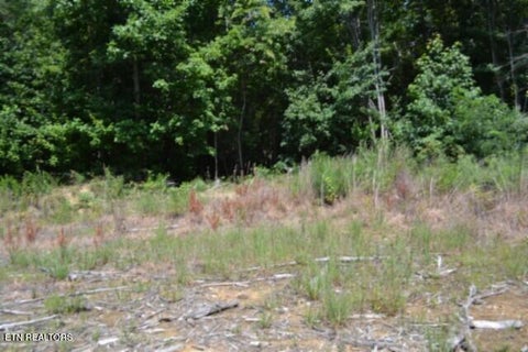 Tiny photo for 50 Topside Drive, Spencer, TN 38585 (MLS # 1350086)