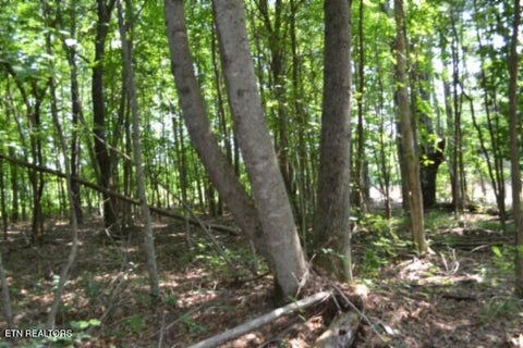 Tiny photo for 50 Topside Drive, Spencer, TN 38585 (MLS # 1350086)