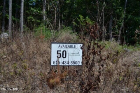 Tiny photo for 50 Topside Drive, Spencer, TN 38585 (MLS # 1350086)