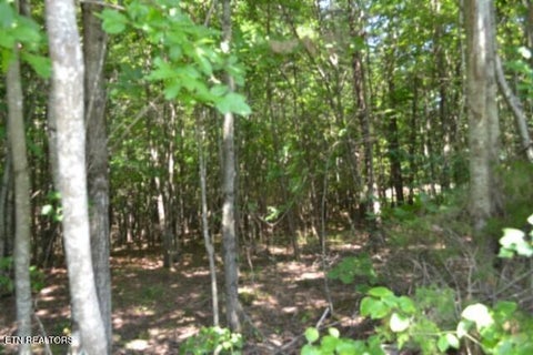 Tiny photo for 50 Topside Drive, Spencer, TN 38585 (MLS # 1350086)
