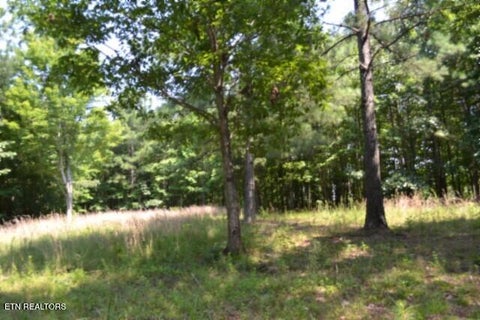 Tiny photo for 50 Topside Drive, Spencer, TN 38585 (MLS # 1350086)