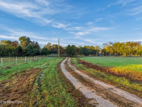 Tiny photo for 2040 Ellejoy Rd, Seymour, TN 37865 (MLS # 1360131)