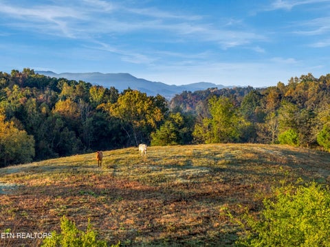 Tiny photo for 2040 Ellejoy Rd, Seymour, TN 37865 (MLS # 1360131)