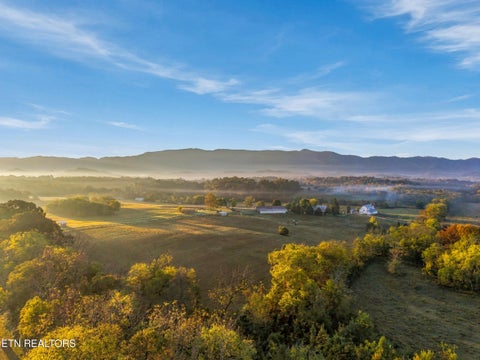 Tiny photo for 2040 Ellejoy Rd, Seymour, TN 37865 (MLS # 1360131)