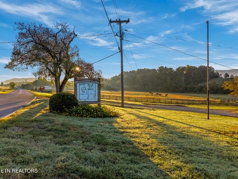 Tiny photo for 2040 Ellejoy Rd, Seymour, TN 37865 (MLS # 1360131)
