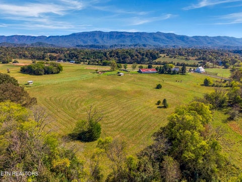 Tiny photo for 2040 Ellejoy Rd, Seymour, TN 37865 (MLS # 1360131)