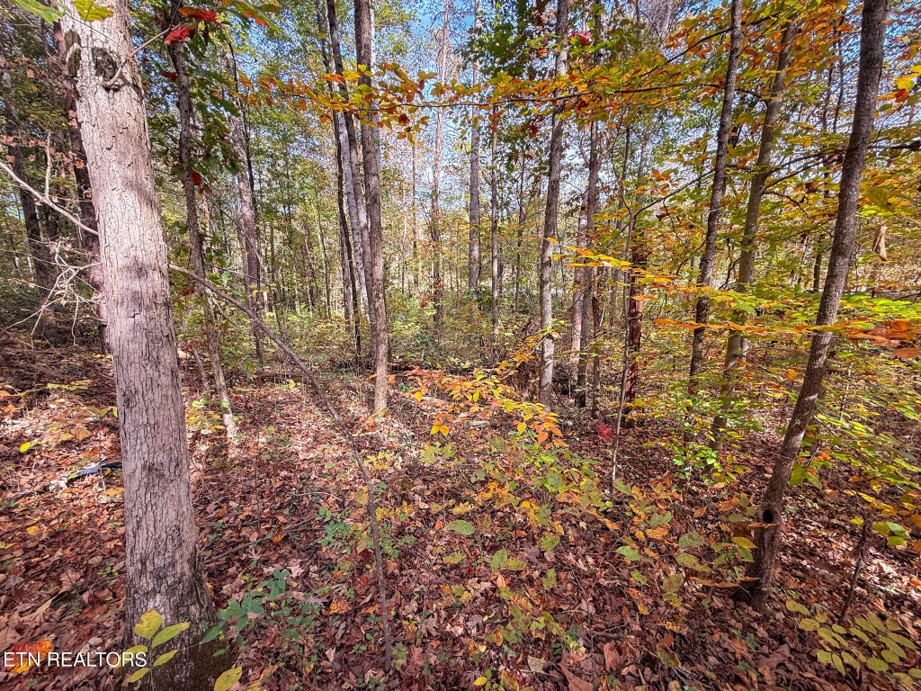 Photo of Co Rd 475, Etowah, TN 37331 (MLS # 1351270)