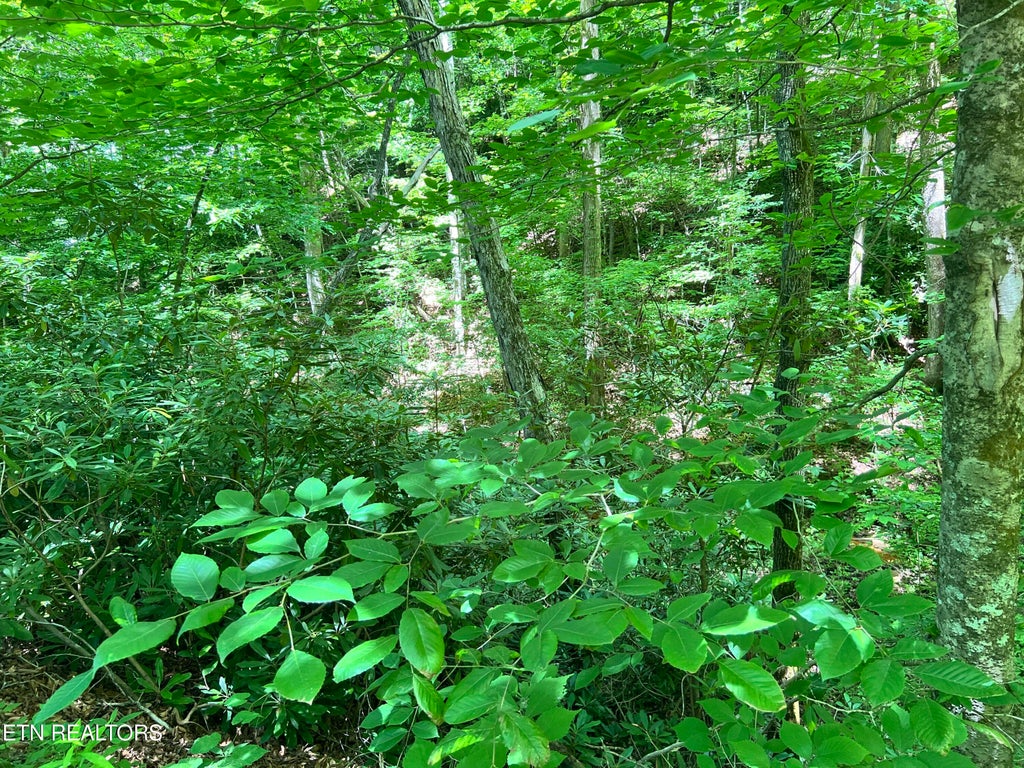 Photo of Fir Drive #Lot 110, Sevierville, TN 37876 (MLS # 1343745)