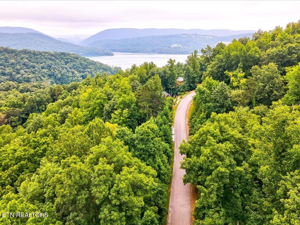 Photo of 453 Silver Tr, New Tazewell, TN 37825 (MLS # 1255161)